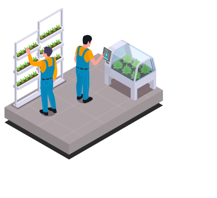 service single image 